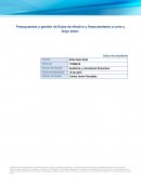 Auditoría y consultoría financiera empresa “Blanes, S.A"