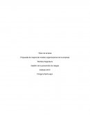 Propuesta de mejora del modelo organizacional de la empresa