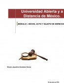 HECHO, ACTO Y SUJETO DE DERECHO