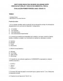 CIENCIAS NATURALES Y EDUCACION AMBIENTAL (FISICA) EVALUACIÓN