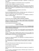 Comportamiento Organizativo
