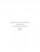 Administracion de la prevencion de riesgos semana 1