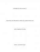 ANALISIS DEL ENTORNO MACRO Y MICRO DE LA UNIDAD PRODUCTIVA