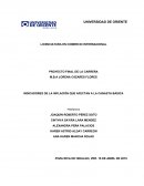 INDICADORES DE LA INFLACIÓN QUE AFECTAN A LA CANASTA BÁSICA