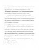 Industria de los Cerámicos