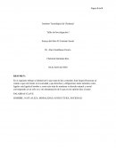 Taller de Investigación I Ensayo del libro El Contrato Social