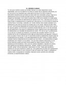 EL CEREBRO HUMANO