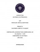 Ingeniería de sistemas. Sistemas distribuidos UDP