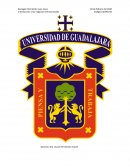 Negocios internacionales compañía Chevrolet