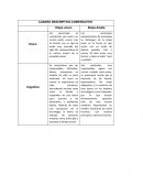 CUADRO DESCRIPTIVO-COMPARATIVO Etapa Joven Etapa Adulta