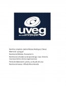Caso: Entorno macroeconómico de las organizaciones