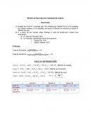 Modelo de Reproducción Ampliada del Capital