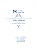 Adminisración de costos y precios . APPLE INC