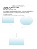 TRABAJO EDUCACION FISICA VIRTUAL