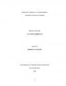 MERCADO TURISTICO Y GASTRONOMICO