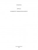 LA ESTADÍSTICA EN LA ACTIVIDAD EMPRESARIAL