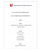 IMPORTANCIA DEL LIDERAZGO Y COMPORTAMIENTO ORGANIZACIONAL