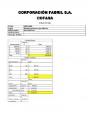 ARQUEO DE CAJA CORPORACIÓN FABRIL S.A