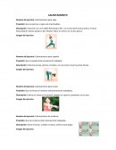 Calentamientos adecuados para deportes