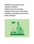 Ensayo sobre sustentabilidad