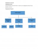 El Micro Mercado la Zona del Ahorro no cuenta con un organigrama inicial por lo que diseñamos uno nueva