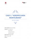 Agropecuaria Montelibeno