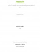 Análisis de las fuerzas de Porter en el sector del calzado, cuero y marroquinería del país