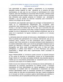 ¿Qué oportunidades de negocio crees que serían rentables y no se están explotando actualmente?