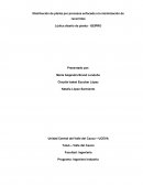 Distribución de planta por procesos enfocada a la minimización de recorridos