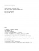 PROGRAMA DE SEGURIDAD. Empresa constructora: ContruccIones Tiger S.A.