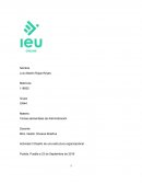 DISEÑO DE UNA ESTRUCTURA ORGANIZACIONAL