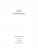 ENSAYO ECOLOGIA HUMANA