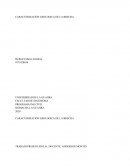 CARACTERIZACIÓN GEOLOGICA DE LA BRECHA