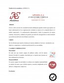 Auditoria APSSOLS.A