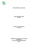 DISTRILICORES DEL TOLIMA SAS