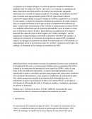 Las mejoras en el manejo del agua y los cultivos agrícolas