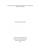 PLAN DE MARKETING PARA EL FORTALECIMIENTO DE LAS MIPYMES DE SABANA DE OCCIDENTE