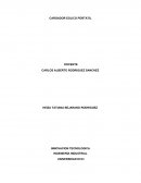 CARGADOR EOLICO PORTATIL