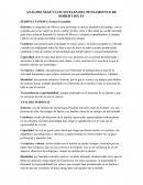 ANÁLISIS SEGÚN LOS NIVELES DEL PENSAMIENTO DE ROBERT DILTS