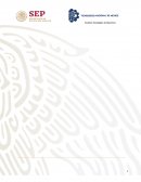 Proyecto: Proceso Innovador para la elaboración de hojas recicladas