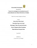 Creación de estrategias de mercadotecnia para la comercialización de la Salsa Chile-limón en Cortázar