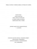 TRABAJO, SOCIEDAD Y DIGNIDAD HUMANA, UN TRABAJO DE COLMENA