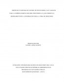 DISEÑO DE UN SISTEMA DE CONTROL DE INVENTARIOS, CAJA Y BANCOS PARA LA EMPRESA ROBAYO HOLDING INDUSTRIES S.A.S