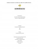 Estándares Evolución De Los Estándares De Calidad CDI Semillitas Del Futuro