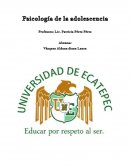 Comportamiento cerebral del adolecente