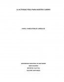 Actividad fisica para nuestro cuerpo