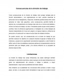 Consecuencias de la division de trabajo
