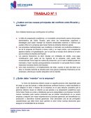 Caso Administracion-Problemas en Empresa Familiar Ricardo e Hijos