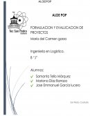 ALOEPOP Impacto ecologico, impacto social, impacto economico