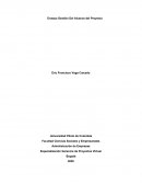 Ensayo Gestión Del Alcance del Proyecto